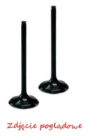ProX Zawór Ssący Stalowy XT/TT-R225/230 '92-07 + 250 Majesty' (OEM: 5HO-12111-00)