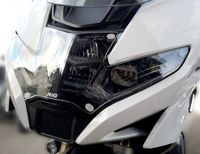 Osłona Reflektora Rg Racing Bmw R1250Rt 21-