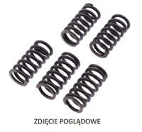 TRW LUCAS ZF SPRĘŻYNY SPRZĘGŁOWE DUCATI DIAVEL 1200 '17-'18