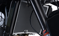 Osłona Chłodnicy Rg Racing Bmw R1250Gs 18-/R1250Rt 19- Titanium