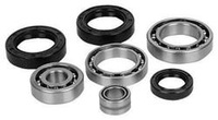 ALL BALLS ZESTAW NAPRAWCZY SKRZYNI BIEGÓW POLARIS RZR 900/1000 16-19, RZR XP 14-19 - PATRZ OPIS DODATKOWY