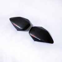 Slidery Zbiornika Paliwa Rg Racing Ducati Panigale (All V4 Models 18-)/Streetfighter V4 20-