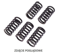 TRW LUCAS ZF SPRĘŻYNY SPRZĘGŁOWE HUSQVARNA TX 125 '17-, KTM SX 125/150 '16-'18, SX-F 250 '04-'12, EXC-F 250 '07-'13, XC-F/XCF-W 250 '06-'13
