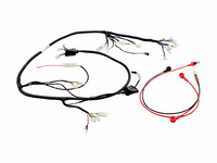 WIĄZKA PRZEWODÓW SKUTER 50CC 2T