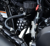 Zaślepka Ramy Rg Racingharley Davidson Street 500/750, Prawa Strona Black