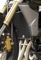 Osłona Chłodnicy Rg Racing Triumph Street Triple [R] 13- 16 (Not Rx Model) Titanium